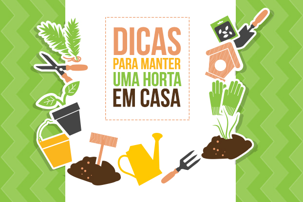 Horta em casa é opção prática para ter ervas e temperos frescos Horta em casa é opção prática para ter ervas e temperos frescos